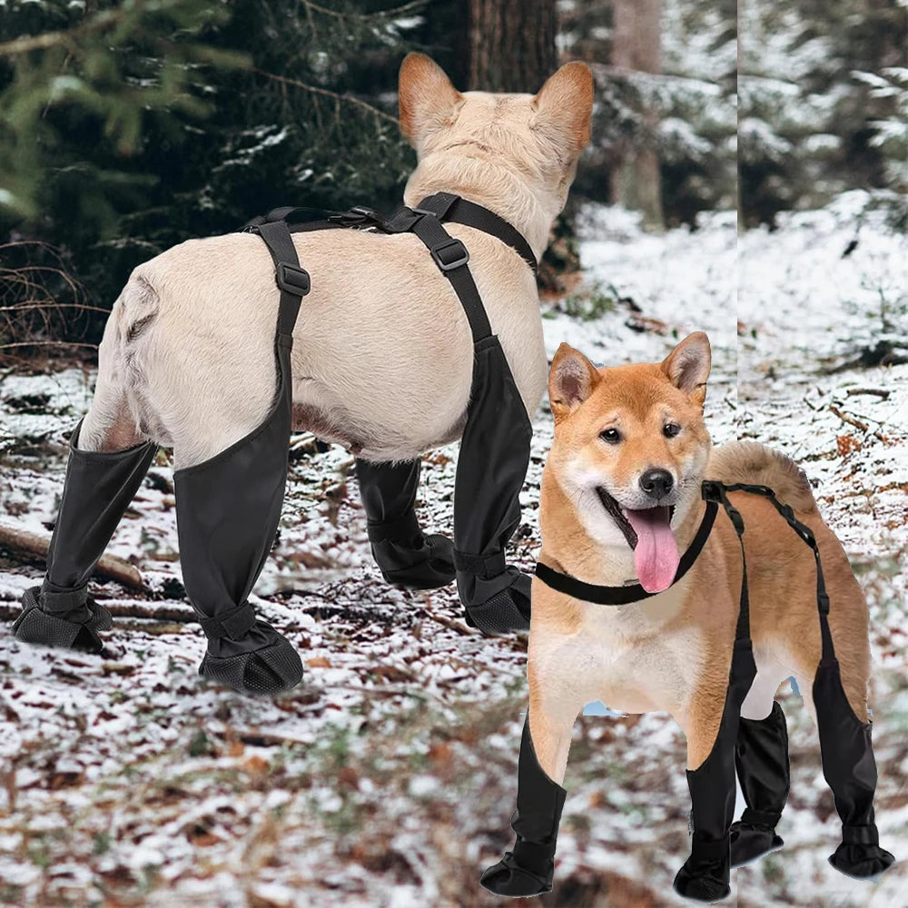 1set Pet Rain Shoes Dog Rain Boots Waterproof Dog Boots Small Puppy Medium Large Dogs Pet Booties Anti-Slip Dog Shoes Rain Snow