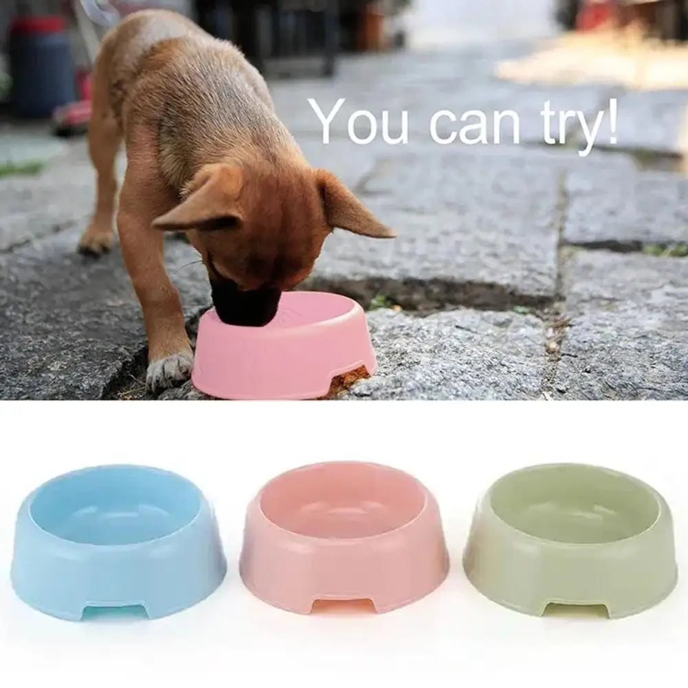 Pet Supplies Candy Colored Plastic Dog Bowl Cat Bowl Bowl Pet Cat Tableware Bowl Bowl Single Small T7Y6