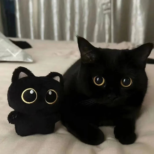 Party gift cute black cat plush toy doll pendant pillow cushion black cat plush toy doll, suitable for boys and girls.