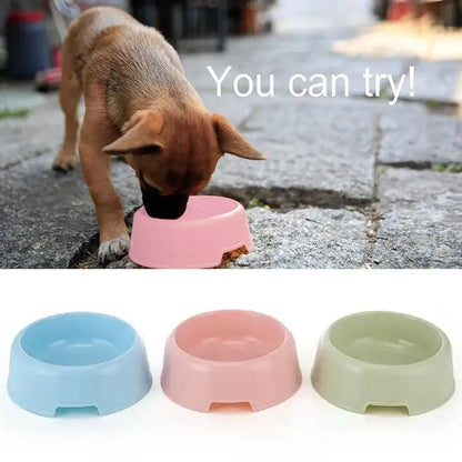 Pet Supplies Candy Colored Plastic Dog Bowl Cat Bowl Bowl Pet Cat Tableware Bowl Bowl Single Small T7Y6